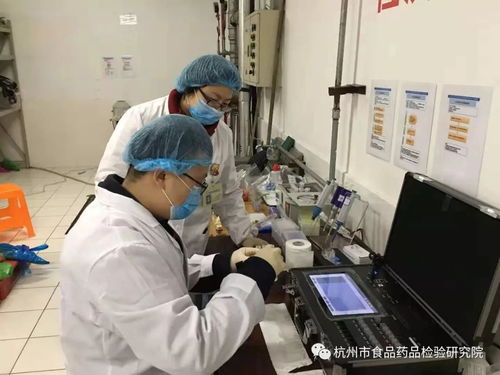 市食药检院圆满完成世游赛食品安全保障工作业务培训