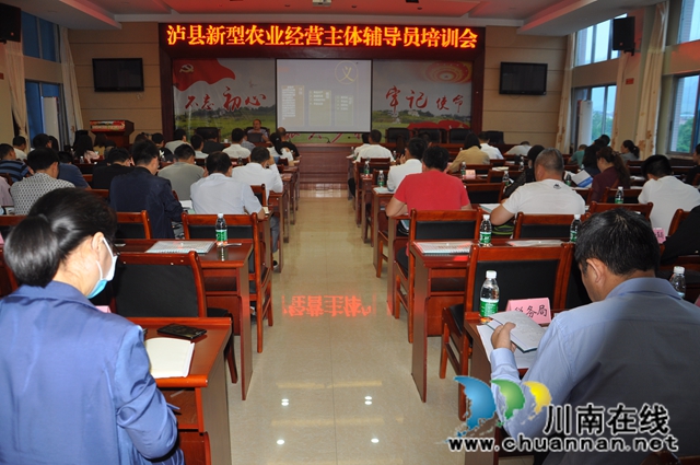 赋能“新农人” 激活新引擎——泸县新型农业经营主体辅导员业务培训会侧记